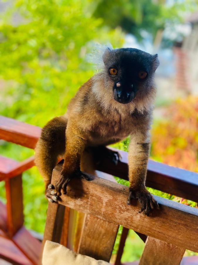 Tamarin Lodge Ampangorinana Bagian luar foto