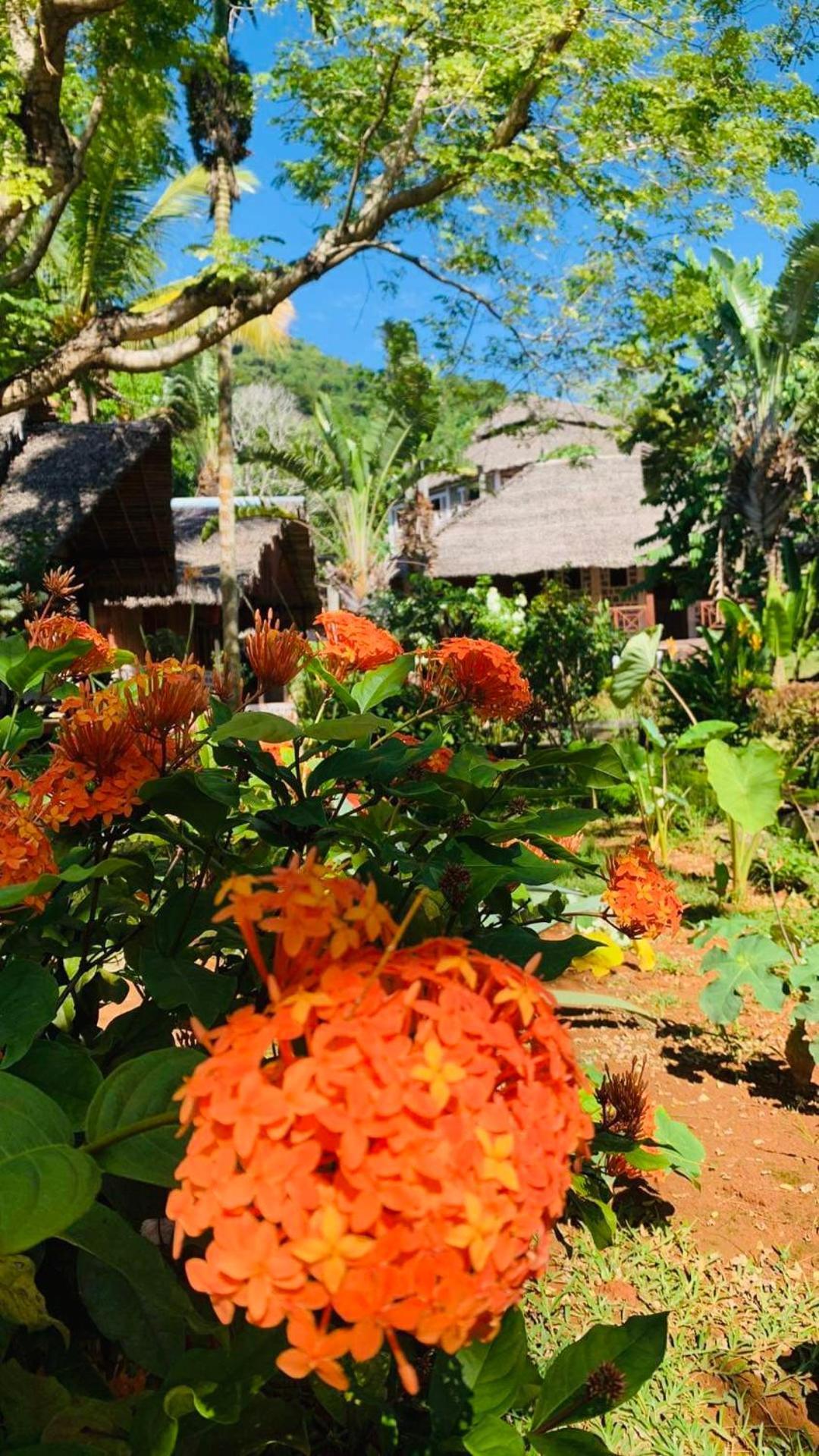 Tamarin Lodge Ampangorinana Bagian luar foto
