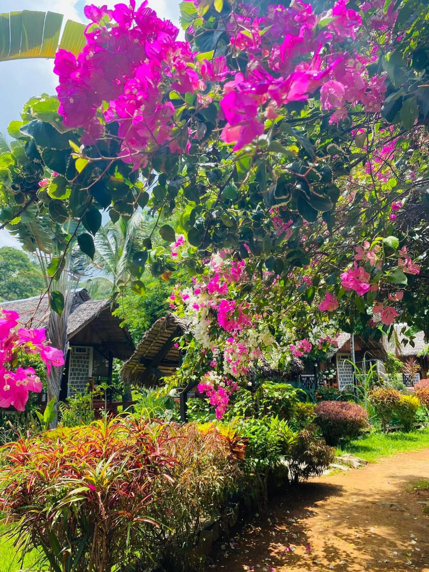 Tamarin Lodge Ampangorinana Bagian luar foto