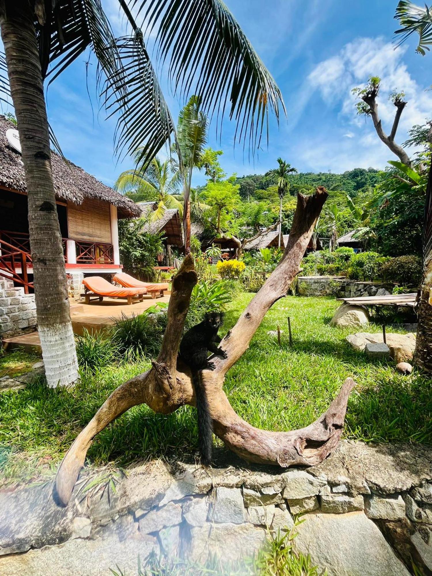 Tamarin Lodge Ampangorinana Bagian luar foto